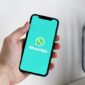 Fitur Unggulan Socialspy Whatsapp Yang Perlu di Ketahui. (Pixabay.com/anton ) 
