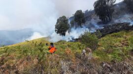 Upaya pemadaman dan monitoring karthula di Bukit Teletubies, kawasan wisata Taman Nasional Bromo Tengger Semeru, Jumat, 31/8/2023. (Dok. BPBD Kabupaten Probolinggo)

