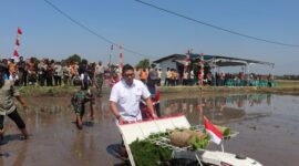 Wakil Menteri Pertanian (Wamentan), Sudaryono Mendorong BUMN Pangan Jadi Pusat Benih Terbesar di Indonesia. (Dok. Kementan)

