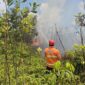 Tim gabungan melakukan penyemprotan air untuk memadamkan api di lokasi kebakaran lahan di Kabupaten Penajam Paser Utara, Provinsi Kalimantan Timur. (Dok. BPBD Kabupaten Penajam Paser Utara)