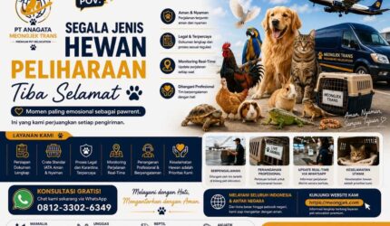 pet relocation